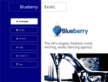 Tablet Screenshot of blueberryexotic.com